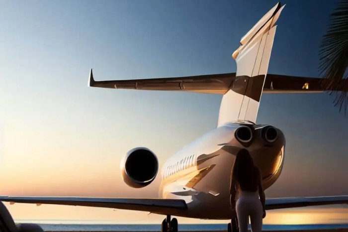 Private Jet Holidays - Experience Luxury Travel 2023
