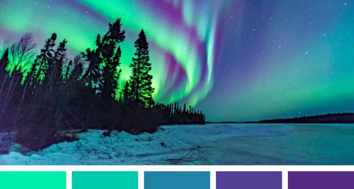 30 Cool Color Palettes for Calming Designs | Color Meanings