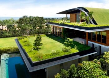 5 Eco-Friendly Roof Materials You Should Consider